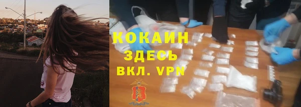 амф Арсеньев