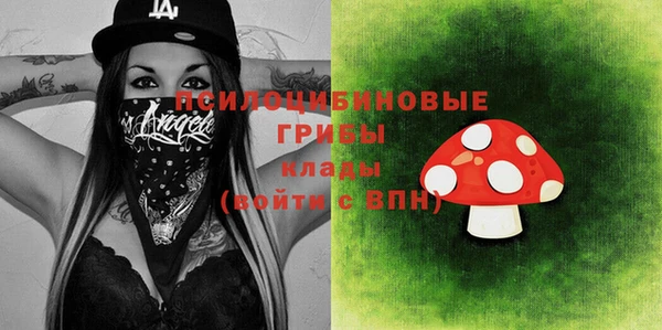 винт Няндома
